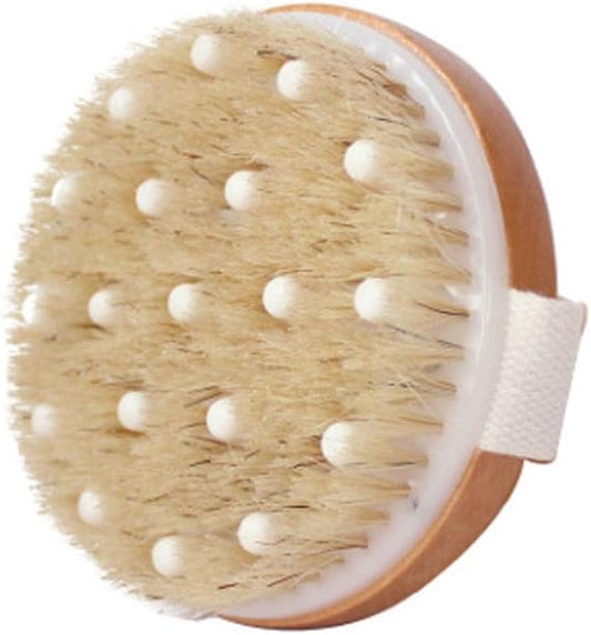 فرشاة دراي برش — تنقية الجسم وتنشيط الدورة الدموية